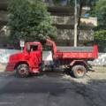 Item da galeria